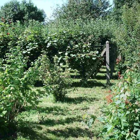 Le Clos Des Tilleuls La Vendelee Екстер'єр фото