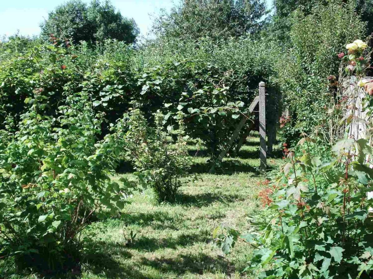 Le Clos Des Tilleuls La Vendelee Екстер'єр фото